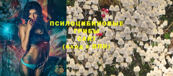 дживик Алексеевка