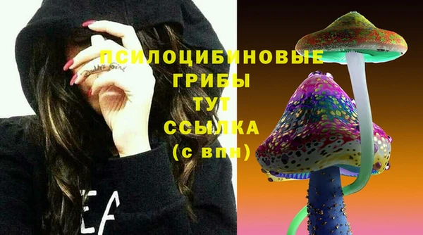 скорость Алексин