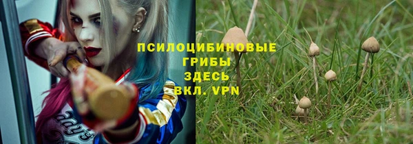 spice Алзамай