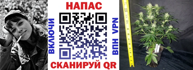 Бошки Шишки планчик  Билибино 